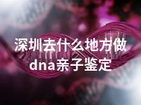 深圳去什么地方做dna亲子鉴定