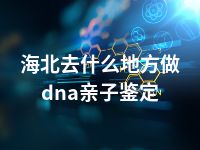 海北去什么地方做dna亲子鉴定