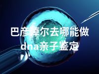 巴彦淖尔去哪能做dna亲子鉴定