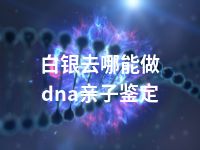 白银去哪能做dna亲子鉴定