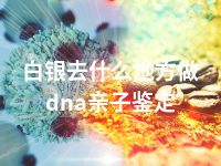 白银去什么地方做dna亲子鉴定