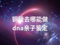 铜陵去哪能做dna亲子鉴定