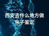 西安去什么地方做亲子鉴定