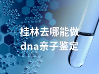 桂林去哪能做dna亲子鉴定