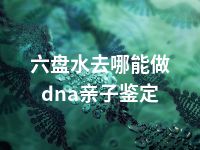 六盘水去哪能做dna亲子鉴定