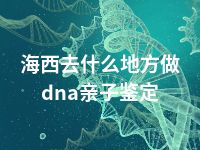 海西去什么地方做dna亲子鉴定