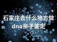 石家庄去什么地方做dna亲子鉴定