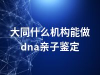 大同什么机构能做dna亲子鉴定