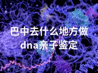 巴中去什么地方做dna亲子鉴定