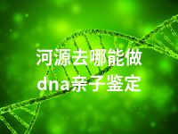 河源去哪能做dna亲子鉴定