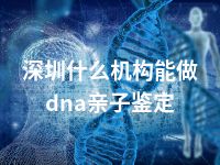 深圳什么机构能做dna亲子鉴定