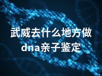 武威去什么地方做dna亲子鉴定