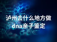 泸州去什么地方做dna亲子鉴定