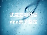 武威去哪能做dna亲子鉴定