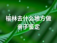 榆林去什么地方做亲子鉴定