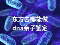 东方去哪能做dna亲子鉴定