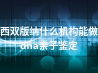 西双版纳什么机构能做dna亲子鉴定