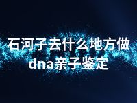 石河子去什么地方做dna亲子鉴定