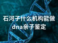 石河子什么机构能做dna亲子鉴定