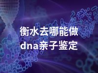 衡水去哪能做dna亲子鉴定