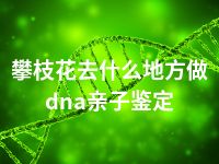 攀枝花去什么地方做dna亲子鉴定