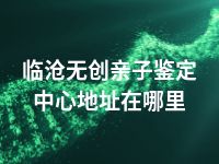 临沧无创亲子鉴定中心地址在哪里