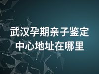 武汉孕期亲子鉴定中心地址在哪里