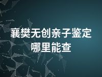 襄樊无创亲子鉴定哪里能查