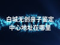 白城无创亲子鉴定中心地址在哪里