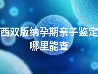 西双版纳孕期亲子鉴定哪里能查