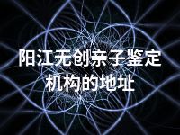 阳江无创亲子鉴定机构的地址