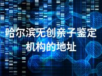 哈尔滨无创亲子鉴定机构的地址