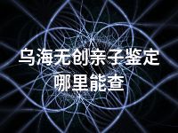 乌海无创亲子鉴定哪里能查