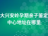 大兴安岭孕期亲子鉴定中心地址在哪里