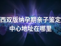 西双版纳孕期亲子鉴定中心地址在哪里