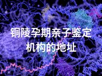 铜陵孕期亲子鉴定机构的地址