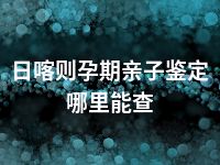 日喀则孕期亲子鉴定哪里能查