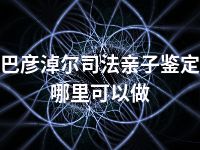 巴彦淖尔司法亲子鉴定哪里可以做