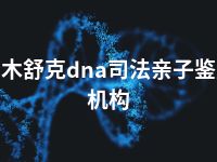 图木舒克dna司法亲子鉴定机构