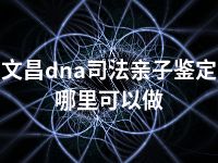 文昌dna司法亲子鉴定哪里可以做