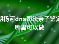 胡杨河dna司法亲子鉴定哪里可以做