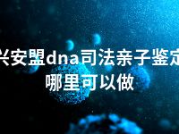 兴安盟dna司法亲子鉴定哪里可以做