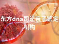 东方dna司法亲子鉴定机构