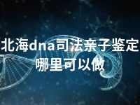 北海dna司法亲子鉴定哪里可以做