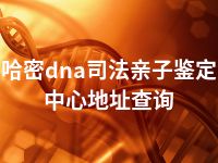 哈密dna司法亲子鉴定中心地址查询