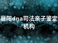 襄阳dna司法亲子鉴定机构