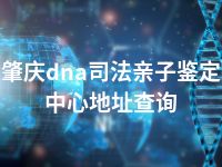 肇庆dna司法亲子鉴定中心地址查询