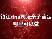 镇江dna司法亲子鉴定哪里可以做