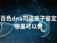 百色dna司法亲子鉴定哪里可以做