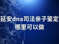 延安dna司法亲子鉴定哪里可以做